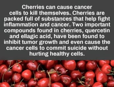 cherries and cancer