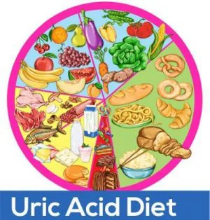 uric acid diet