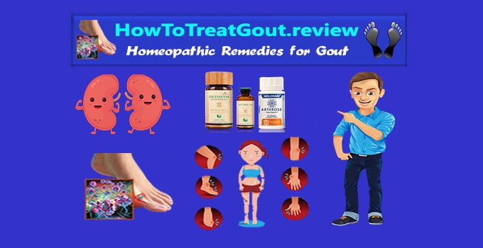 ayurvedic remedies for gout